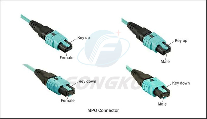 12 cable OM3 del Fanout de la fibra MPO LC hasta el milímetro de la fibra óptica de 0.9m m de cordón de remiendo 3