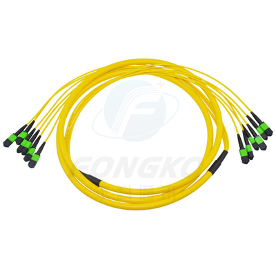 MPO MTP FTTH Cordón de parche de fibra óptica Multimodo Hombre Hembra LC-MPO 12 núcleos